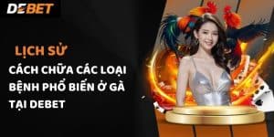 Cách Chữa Các Loại Bệnh Phổ Biến Ở Gà