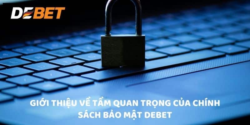 Giới thiệu về tầm quan trọng của chính sách bảo mật Debet