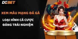 Xem màu mạng đá gà